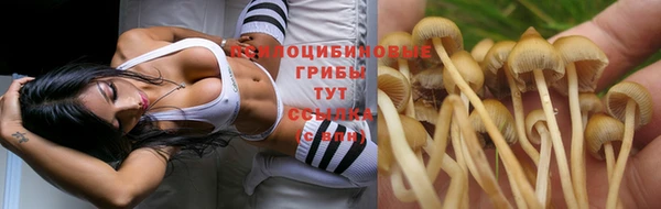 винт Алексин