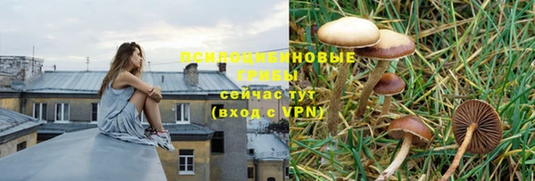 синтетический гашиш Арсеньев